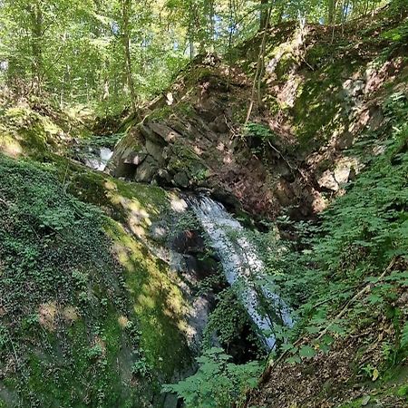 Ferienwohnung Zum Hirschen Herzberg am Harz Ngoại thất bức ảnh