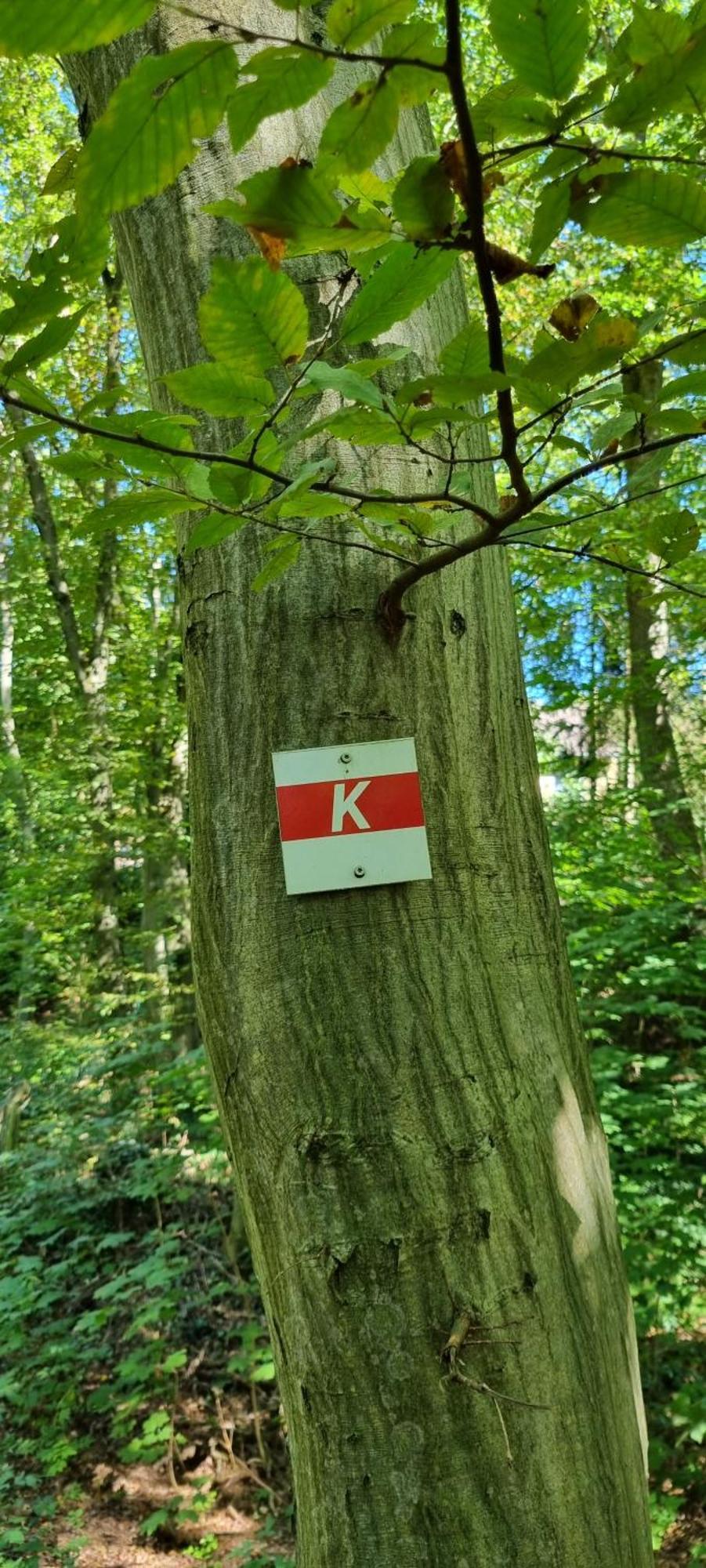 Ferienwohnung Zum Hirschen Herzberg am Harz Ngoại thất bức ảnh